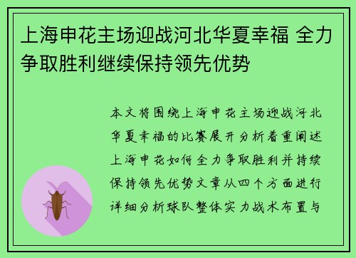 上海申花主场迎战河北华夏幸福 全力争取胜利继续保持领先优势